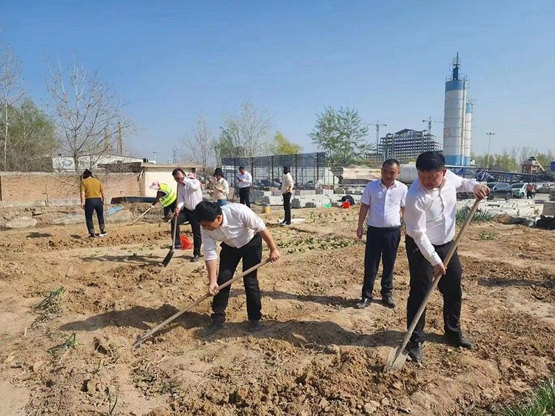“春播添新綠，不負(fù)好春光”-城建新型材料公司黨支部開(kāi)展主體黨日活動(dòng)